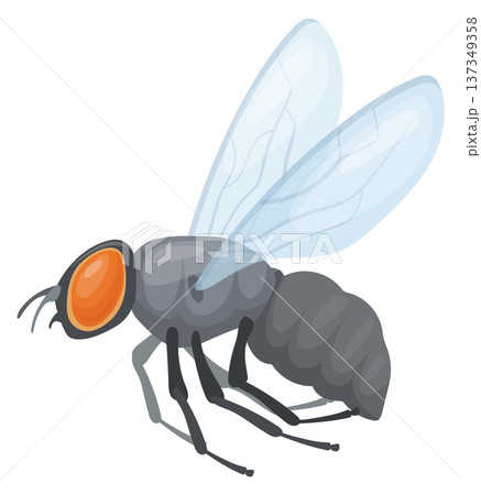 Winged insect icon. Wild animal. House fly 137349358