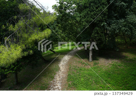 Countryside Path Through Natural Landscape Countryside Path Through Natural Landscape 137349429