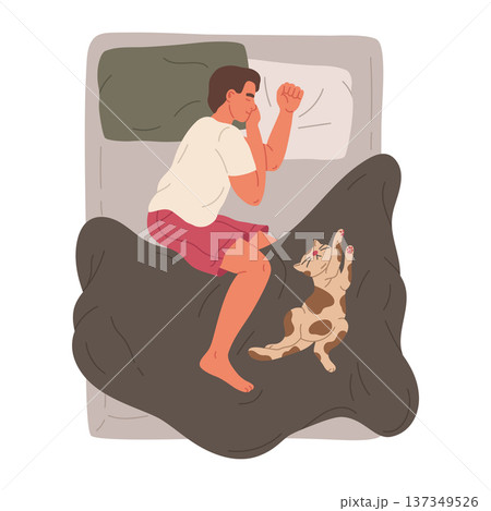 Sleeping man. Male character resting in bed with cute cat, guy and his pet relaxing in cozy bed flat vector illustration. Cartoon sleeping person on white 137349526