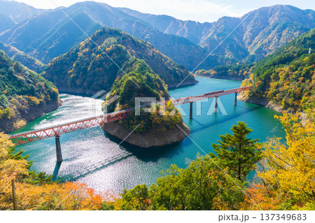 秋の大井川鐵道井川線 紅葉の奥大井湖上駅 秋の大井川鐵道井川線 紅葉の奥大井湖上駅 137349683
