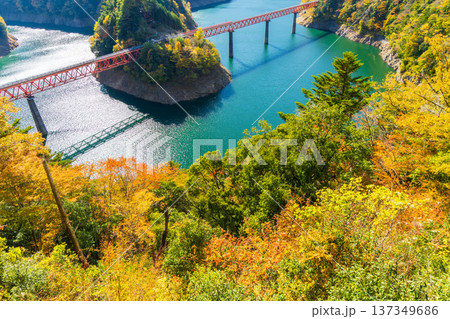 秋の大井川鐵道井川線　紅葉の奥大井湖上駅 137349686
