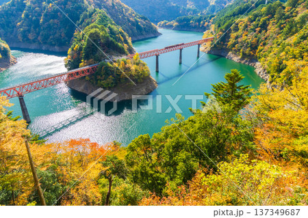 秋の大井川鐵道井川線　紅葉の奥大井湖上駅 137349687