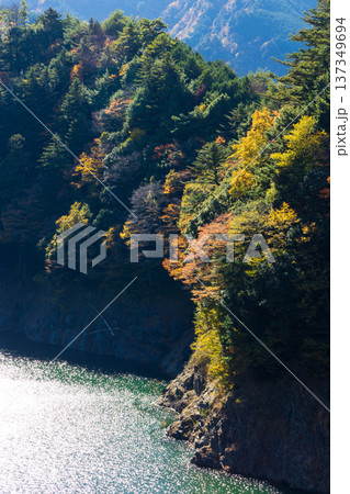 秋の大井川鐵道井川線　奥大井湖上駅からの風景 137349694