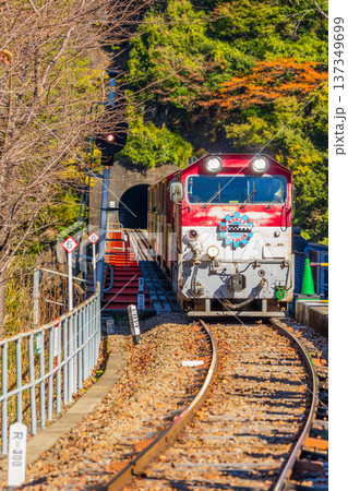 秋の大井川鐵道井川線　奥大井湖上駅 137349699