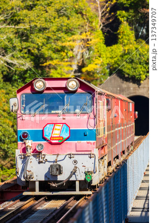 秋の大井川鐵道井川線　奥大井湖上駅 137349707