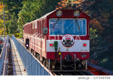 秋の大井川鐵道井川線　奥大井湖上駅 137349708