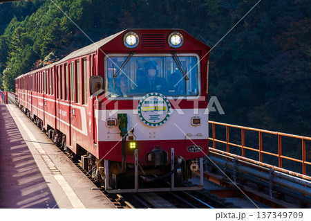 秋の大井川鐵道井川線　奥大井湖上駅 137349709