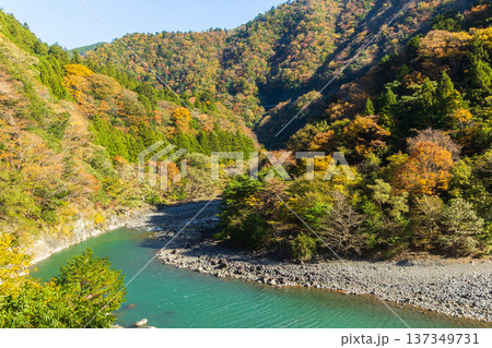 秋の大井川鐵道井川線　紅葉の車窓風景 137349731