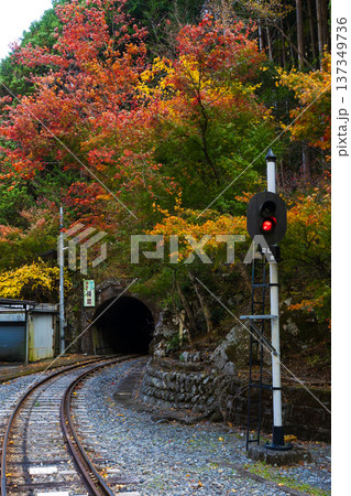 秋の大井川鐵道井川線　紅葉の井川駅 137349736