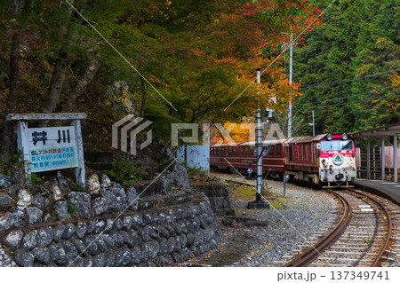 秋の大井川鐵道井川線　紅葉の井川駅 137349741