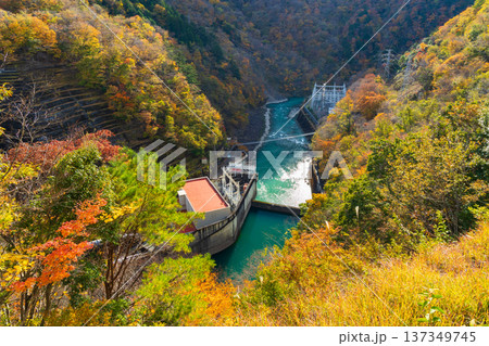 秋の静岡県奥大井　紅葉の井川湖（井川ダム） 137349745