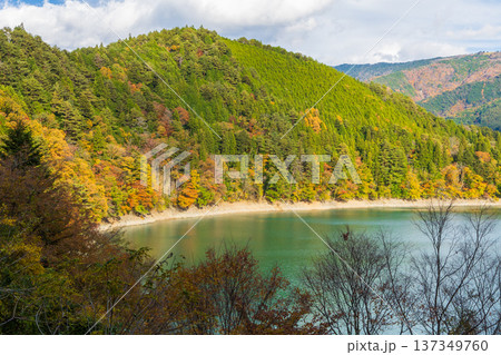 秋の静岡県奥大井　紅葉の井川湖（井川ダム） 137349760