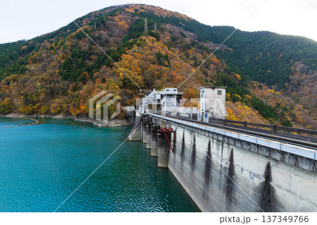 秋の静岡県奥大井　紅葉の井川湖（井川ダム） 137349766