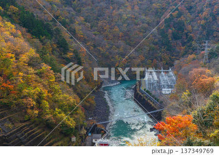 秋の静岡県奥大井 紅葉の井川湖(井川ダム) 秋の静岡県奥大井 紅葉の井川湖(井川ダム) 137349769