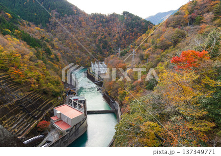 秋の静岡県奥大井　紅葉の井川湖（井川ダム） 137349771