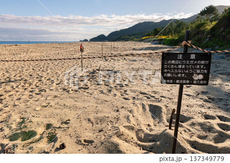 永田いなか浜　屋久島最大の海亀産卵地(夏 137349779
