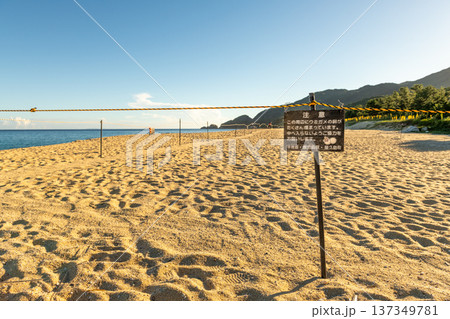 永田いなか浜　屋久島最大の海亀産卵地(夏 137349781