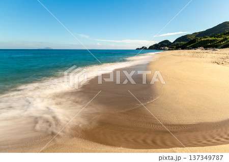永田いなか浜 屋久島最大の海亀産卵地(夏 永田いなか浜 屋久島最大の海亀産卵地(夏 137349787