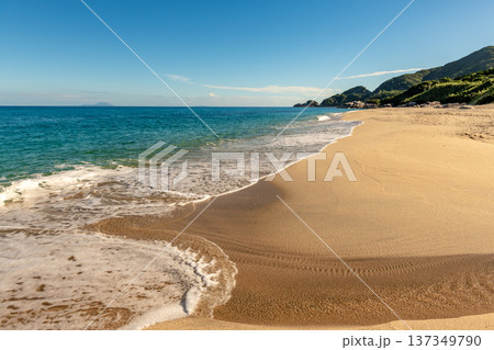 永田いなか浜 屋久島最大の海亀産卵地(夏 永田いなか浜 屋久島最大の海亀産卵地(夏 137349790