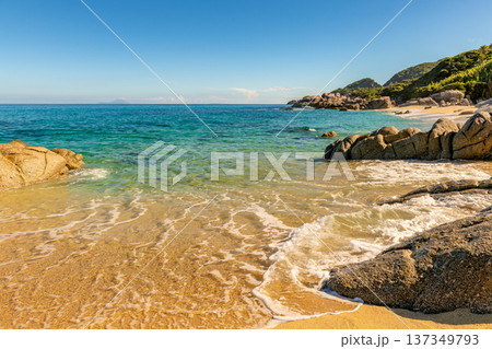 永田いなか浜　屋久島最大の海亀産卵地(夏 137349793