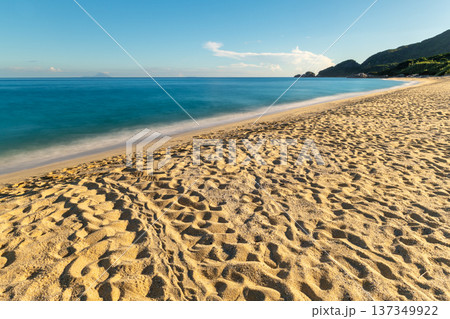 永田いなか浜 屋久島最大の海亀産卵地(夏 永田いなか浜 屋久島最大の海亀産卵地(夏 137349922