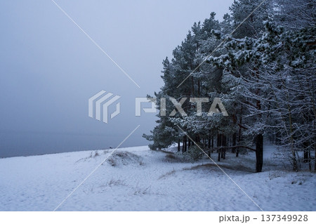 Calm, snowy winter landscape of pine trees on a hillside next to frozen body of water under overcast sky. Calm, snowy winter landscape of pine trees on a hillside next to frozen body of water under overcast sky. 137349928