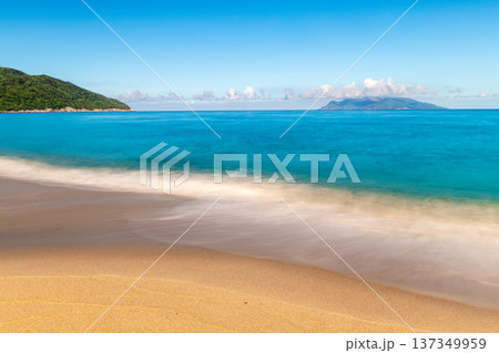 永田いなか浜　屋久島最大の海亀産卵地(夏 137349959