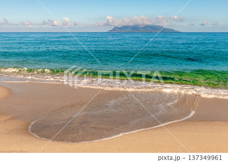 永田いなか浜　屋久島最大の海亀産卵地(夏 137349961