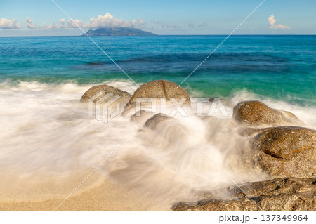 永田いなか浜 屋久島最大の海亀産卵地(夏 永田いなか浜 屋久島最大の海亀産卵地(夏 137349964