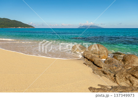 永田いなか浜　屋久島最大の海亀産卵地(夏 137349973