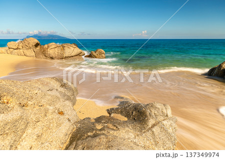永田いなか浜 屋久島最大の海亀産卵地(夏 永田いなか浜 屋久島最大の海亀産卵地(夏 137349974