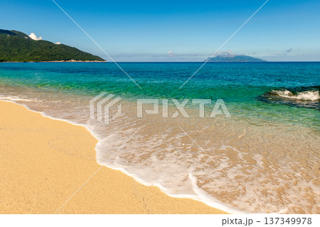 永田いなか浜　屋久島最大の海亀産卵地(夏 137349978