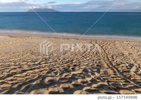 永田いなか浜　屋久島最大の海亀産卵地(夏 137349996