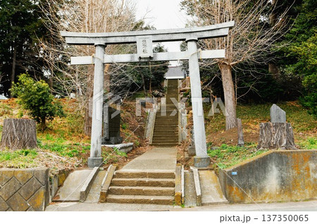 【綾瀬市 2021年に社殿の葺き替え工事を終えた「熊野社」鳥居と参道石段】 【綾瀬市 2021年に社殿の葺き替え工事を終えた「熊野社」鳥居と参道石段】 137350065
