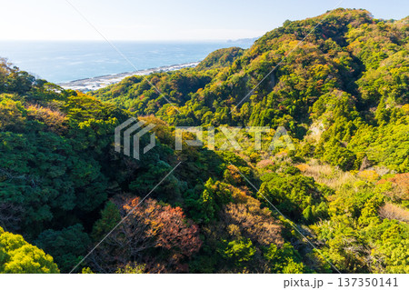 秋の静岡県静岡市　日本平ロープウェイからの眺望 137350141