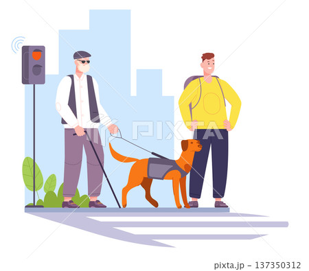 Blind man in city. Senior cross road with guide dog 137350312