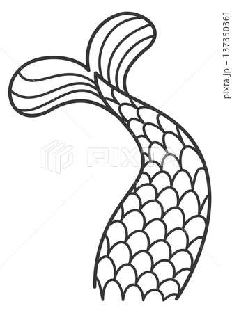 Fish tail drawing. Sea creature line doodle 137350361