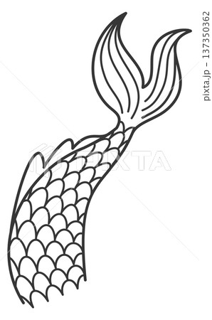 Mermaid tail doodle drawing. Fairytale underwater girl Mermaid tail doodle drawing. Fairytale underwater girl 137350362