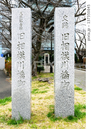 【茅ヶ崎市　国指定天然記念物及び史跡「旧相模川橋脚」石柱】 137350845