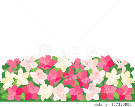 白とピンク色のツツジと背景の緑を組み合わせたイラストのカード 137350896