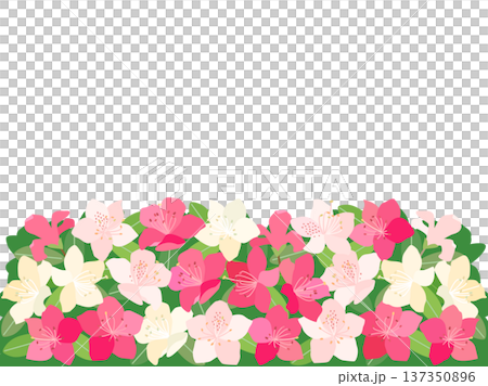 白とピンク色のツツジと背景の緑を組み合わせたイラストのカード 137350896