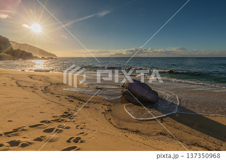永田いなか浜 海亀産卵地 屋久島の夕景(秋 永田いなか浜 海亀産卵地 屋久島の夕景(秋 137350968