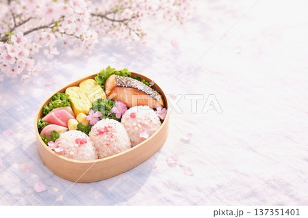 桜の下で楽しむ花見弁当と春の行楽弁当イメージ素材 137351401