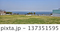 水平線 137351595