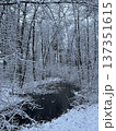 Snowy winter scene features bare trees covered in snow surrounding dark body of water in serene forest. 137351615