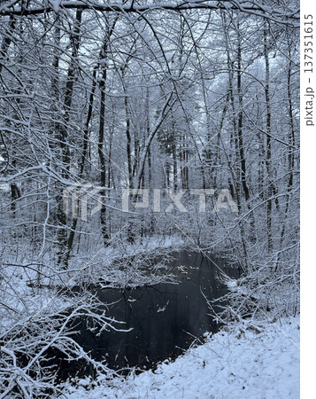 Snowy winter scene features bare trees covered in snow surrounding dark body of water in serene forest. 137351615