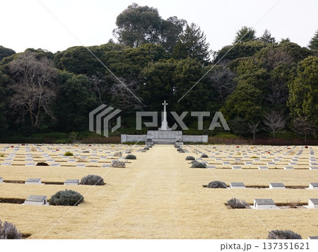 早春の淡い日差しの中の英連邦戦死者墓地 早春の淡い日差しの中の英連邦戦死者墓地 137351621