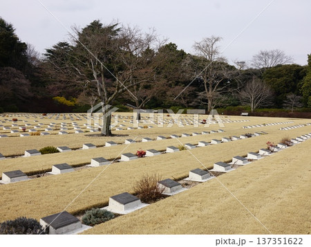 早春の淡い日差しの中の英連邦戦死者墓地 137351622