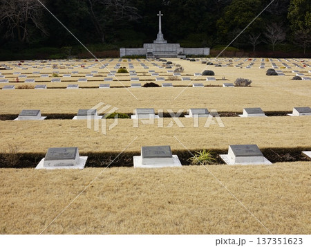 早春の淡い日差しの中の英連邦戦死者墓地 早春の淡い日差しの中の英連邦戦死者墓地 137351623