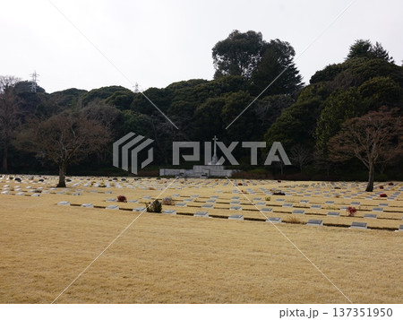 早春の淡い日差しの中の英連邦戦死者墓地 早春の淡い日差しの中の英連邦戦死者墓地 137351950